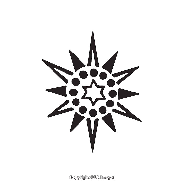 Intricate Black and White Dingbat Design with Symmetrical Star Patterns