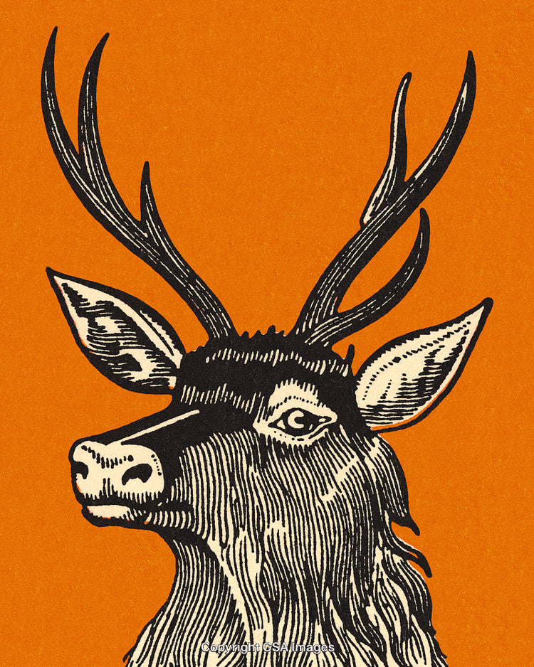 Elegant Engraved Deer Illustration with Bold Orange Background