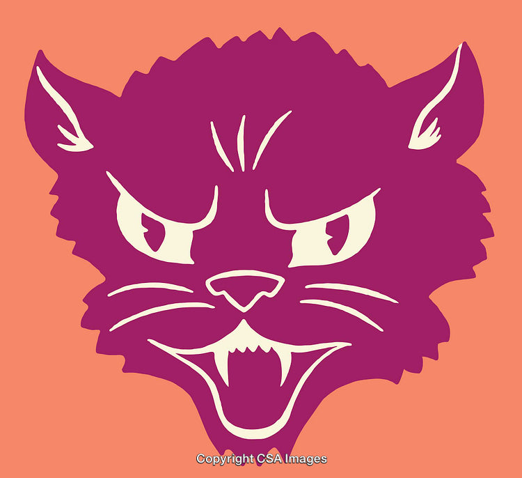 Vintage Angry Cat Illustration in Bold Contrasting Colors