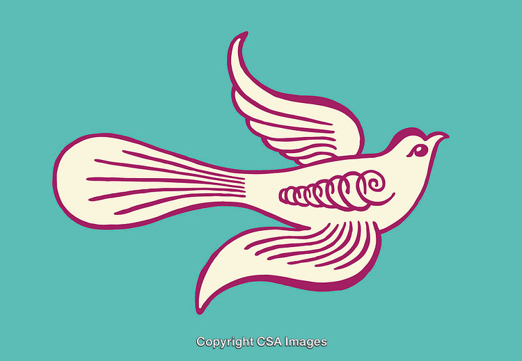 Colorful Line Art Illustration of a Bird in Flight with Decorative Details