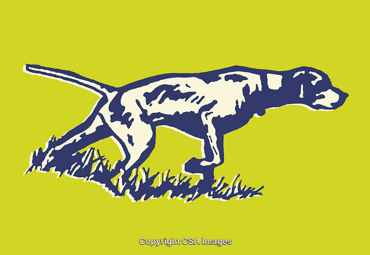 Graphic Line Art of a Pointing Hunting Dog in Bold Colors