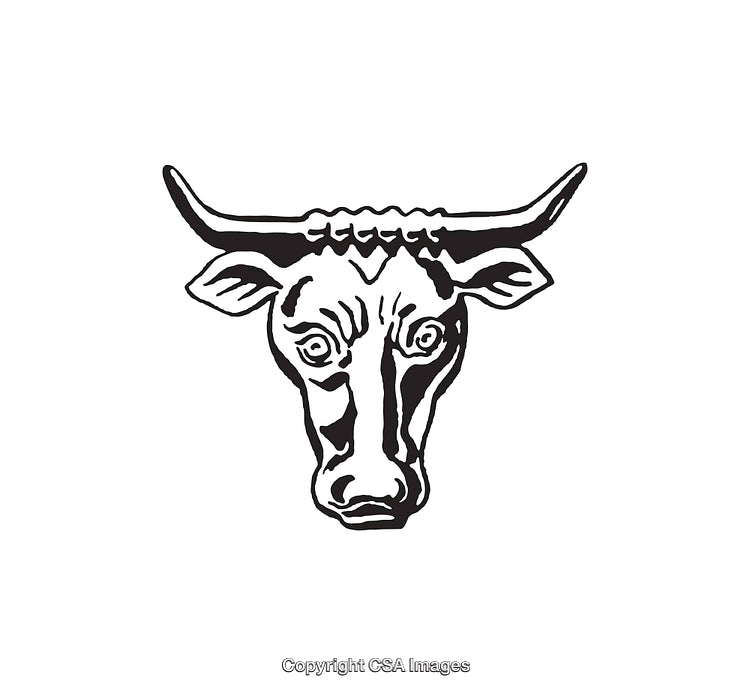 Black and White Line Art Illustration of a Bull's Head