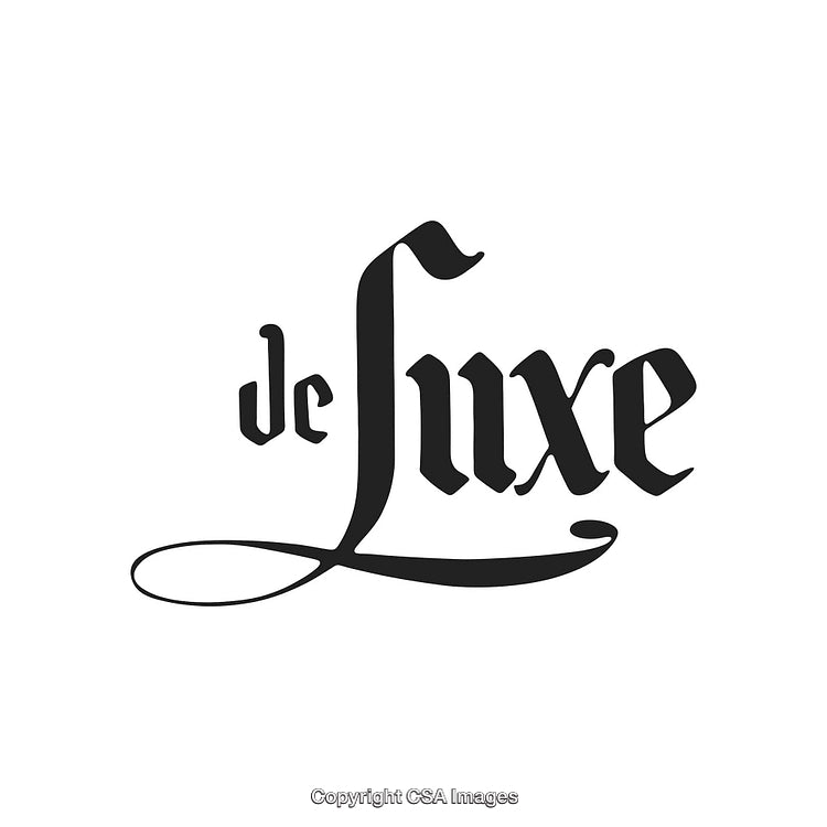 Classic Decorative Logo Design Featuring Elegant Stylized Calligraphy