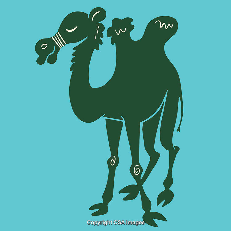 Color Line Art Illustration of a Cartoon Camel Design on a Blue Background