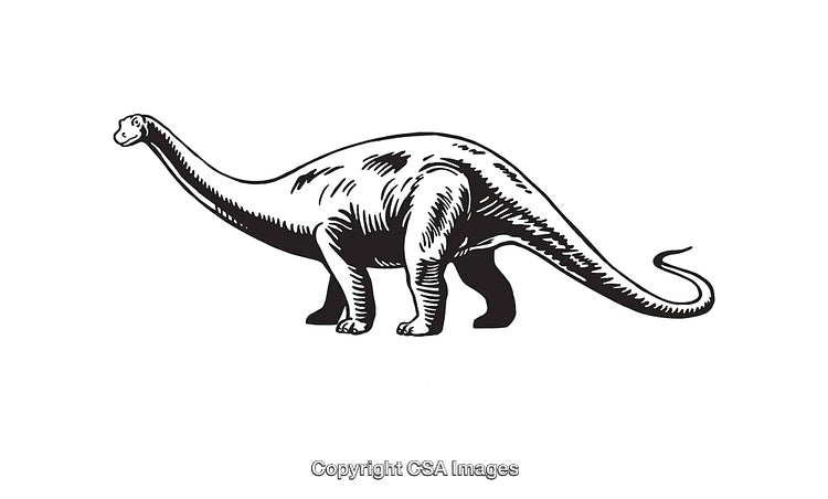 Black and White Illustration of a Dinosaur in Line Art Style