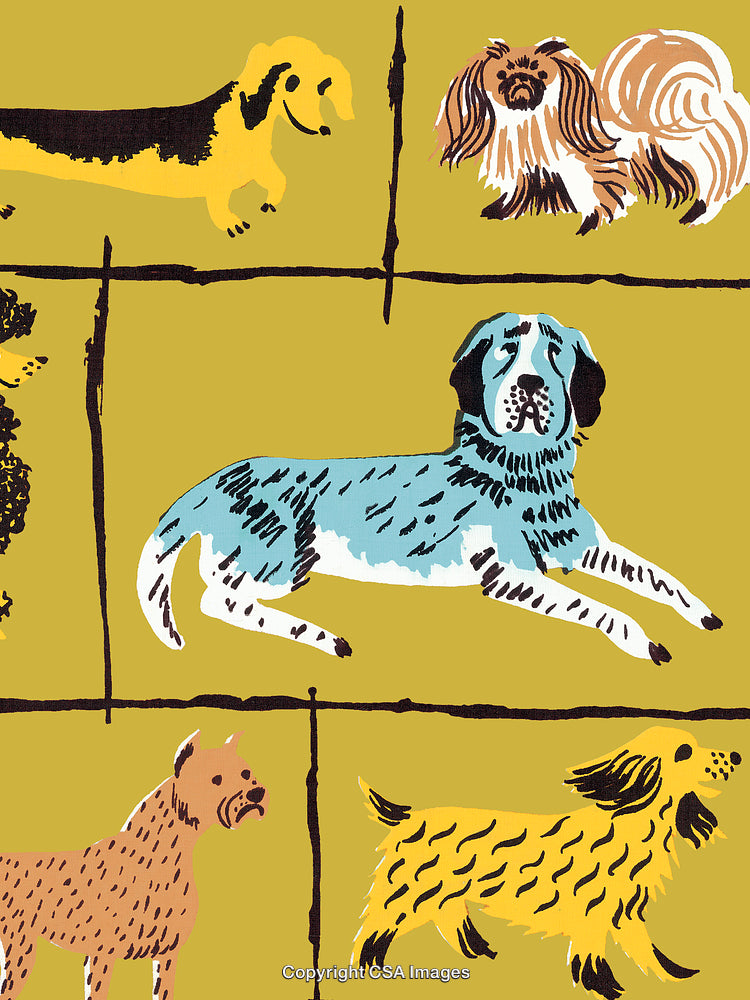 Colorful Illustrated Dog Breeds With Playful Artistic Design on Yellow Background