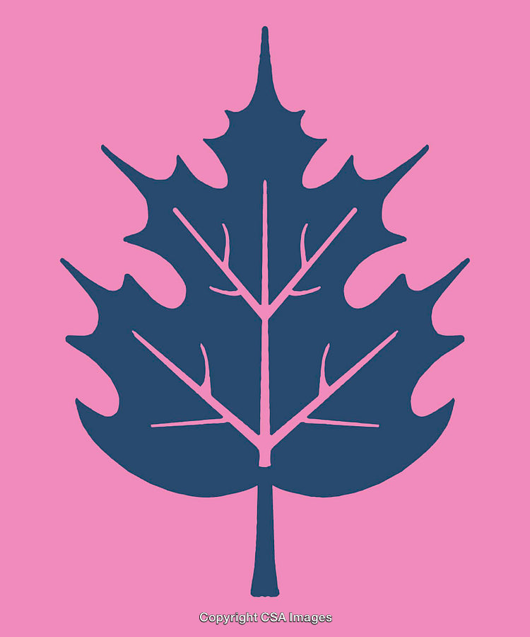 Blue Leaf Illustration on a Pink Background in Bold and Artistic Style