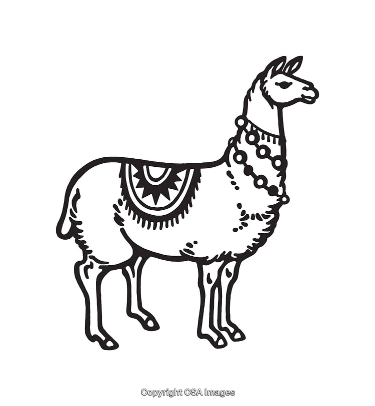 Stylish Line Art Illustration of a Decorated Llama in Black and White