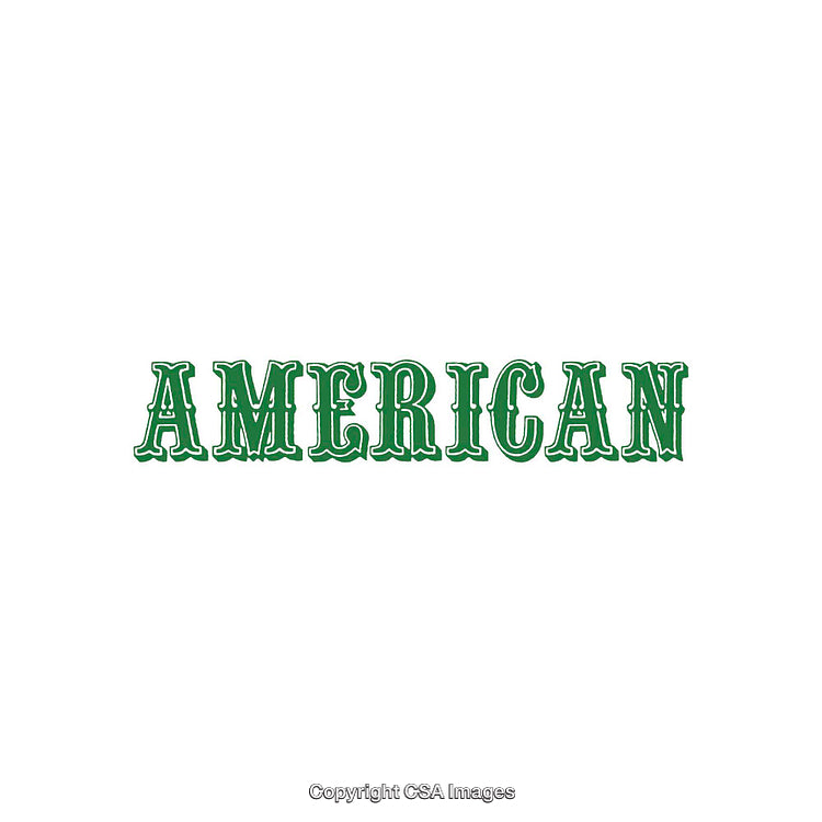 Stylized Green Lettering Displaying the Word 'American' in Bold Typeface
