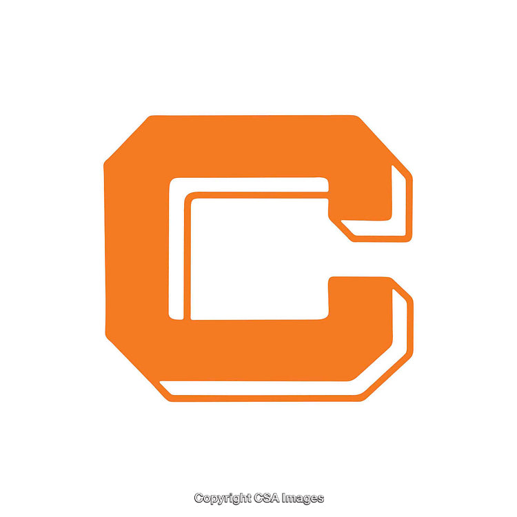 Bold Orange Letter C in Clean Minimalistic Design on White Background