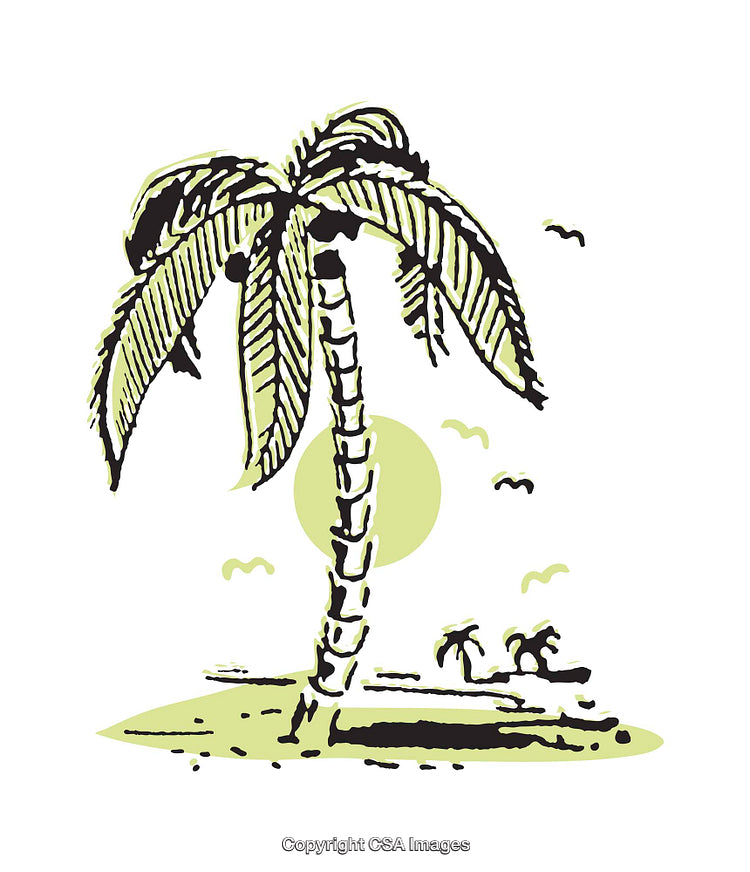 Illustrative Palm Tree in Tropical Setting with Sun and Birds