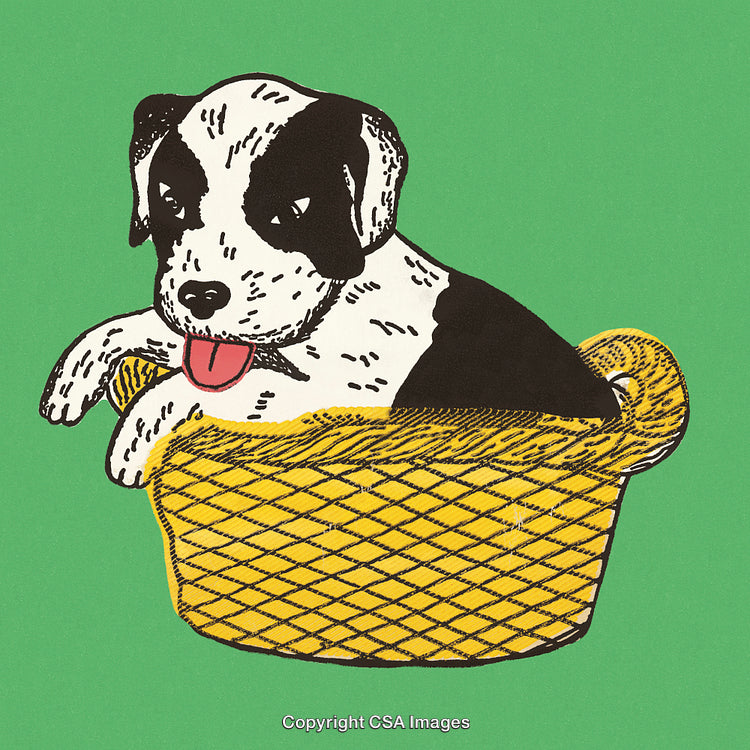 Adorable Black and White Puppy Relaxing in a Cozy Yellow Basket