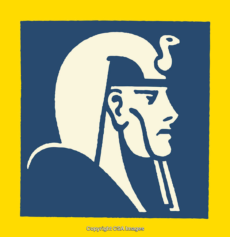 Illustrated Egyptian Pharaoh Profile Portrait With Bold Yellow and Blue Colors