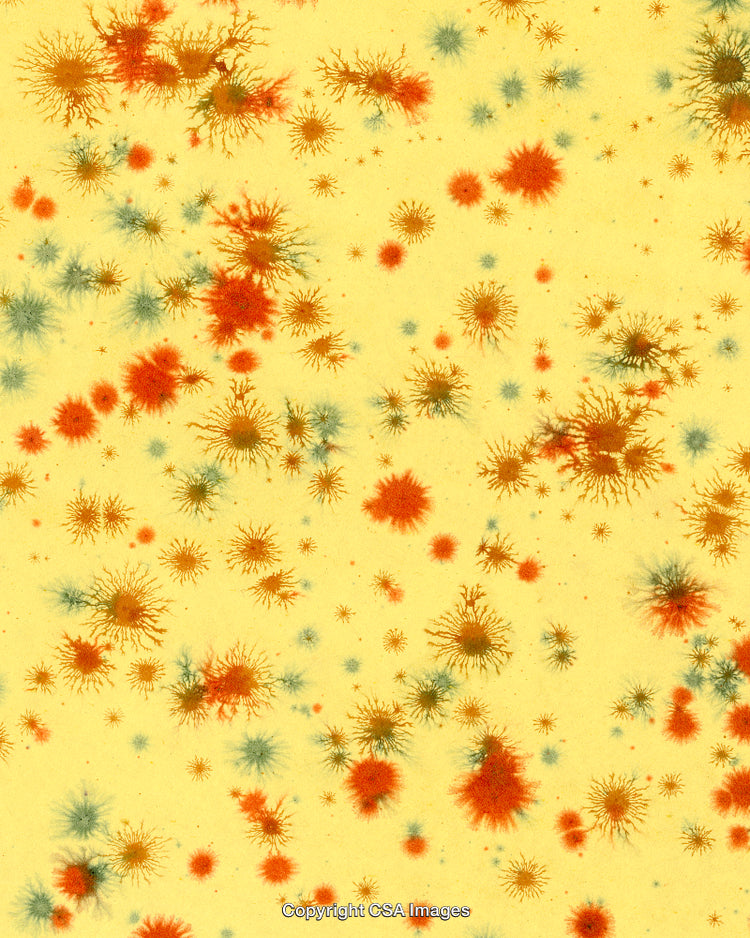 Pattern