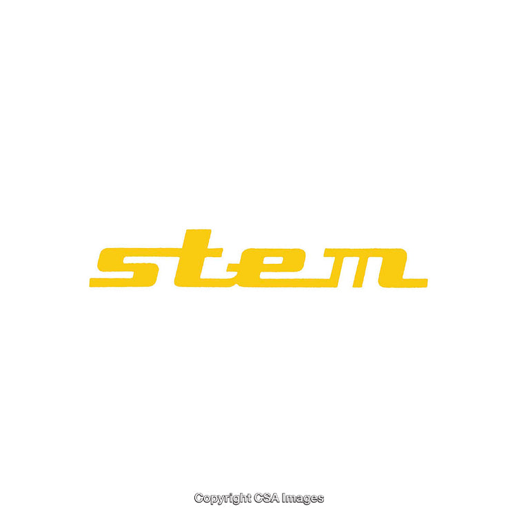 Bold Yellow Text "stem" on Clean White Background