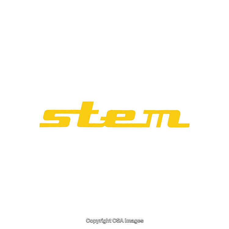Bold Yellow Text "stem" on Clean White Background