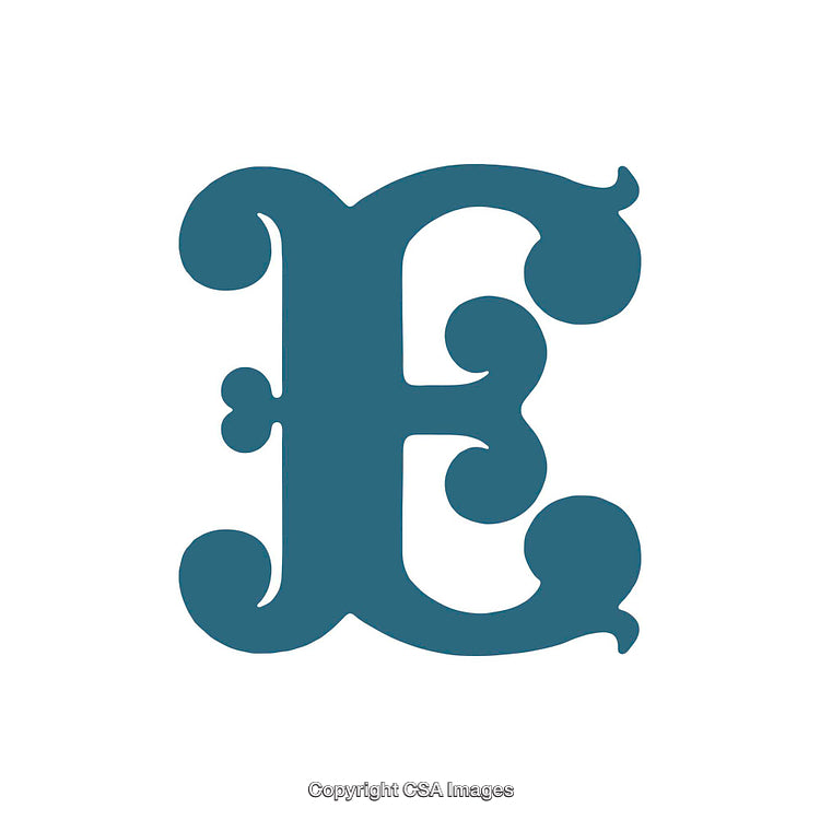 Elegant Decorative Letter E in Bold Typography Design