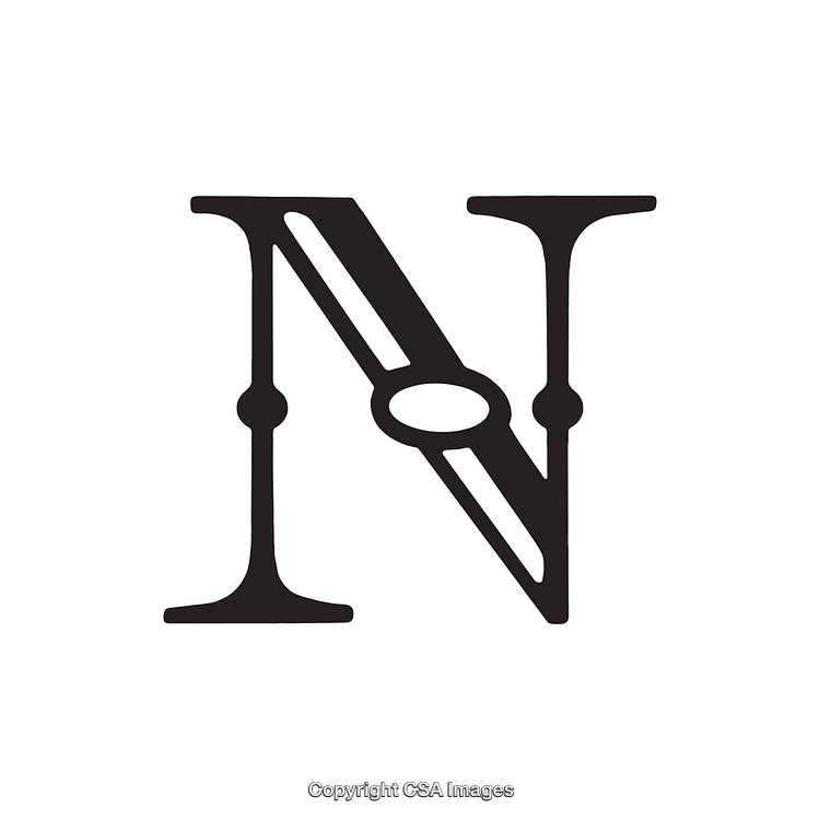Stylized Ornamental Letter 'N' Within an Elegant Typeface Design