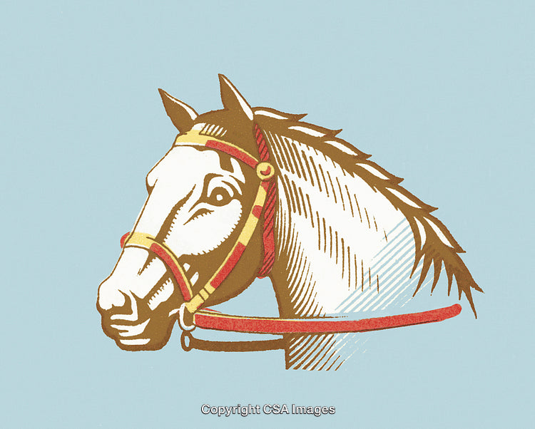 Illustration of a Horse Head in Retro Style on Light Background