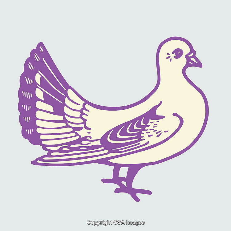 Beautiful Purple Line Art Illustration of a Graceful Dove Bird