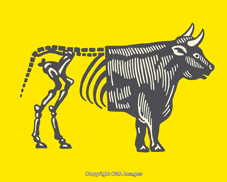 Creative Illustration of Bull and Skeleton Merging on Yellow Background