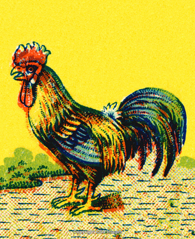Vintage Illustration of a Colorful Rooster on a Yellow Background