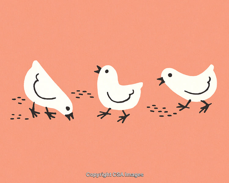 Simple Illustration of Three Chickens Feeding on a Vibrant Peach Background