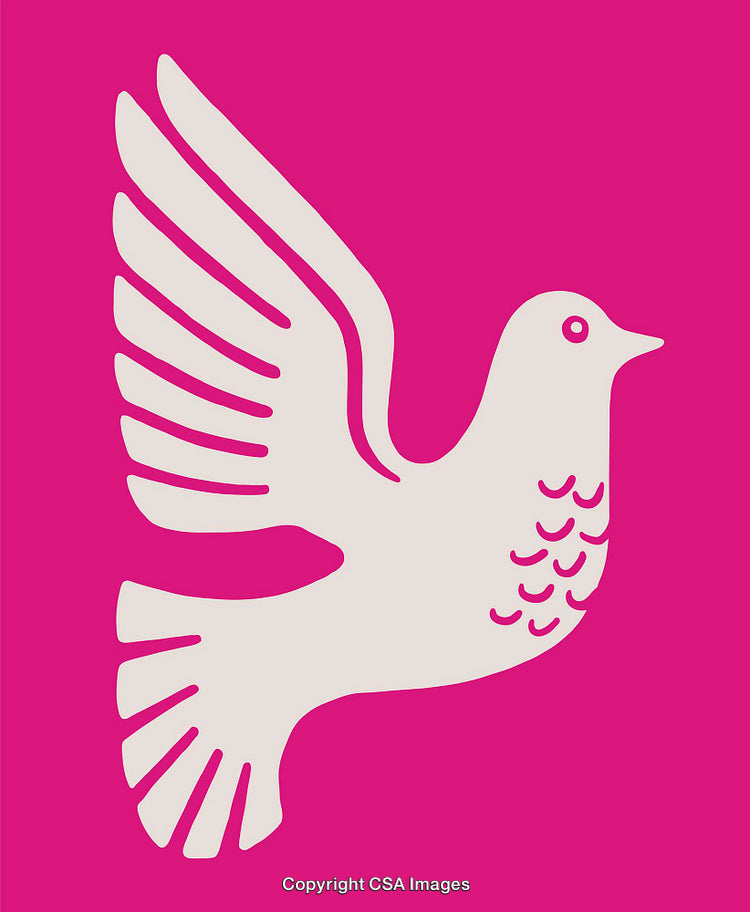 Pink and White Dove Illustration Representing Peace and Freedom