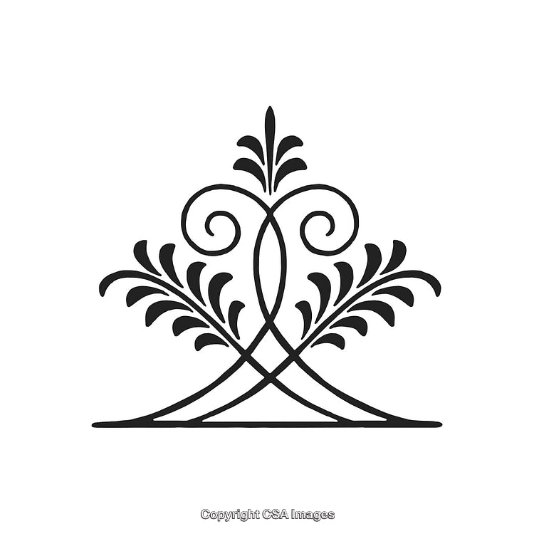 Elegant Black and White Ornamental Design with Symmetrical Patterns