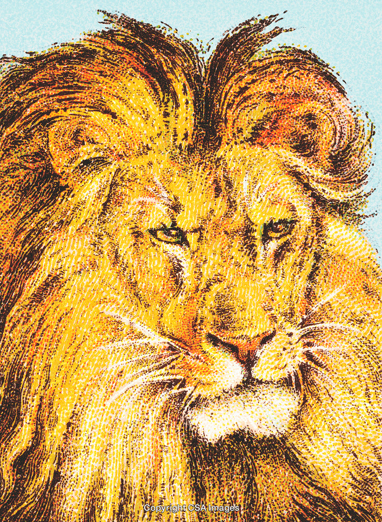 Detailed Illustration of a Lion With Majestic Mane in Warm Tones