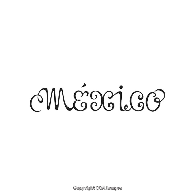 Elegant Handwritten Mexico Typography Featuring Artistic Swirls on White Background