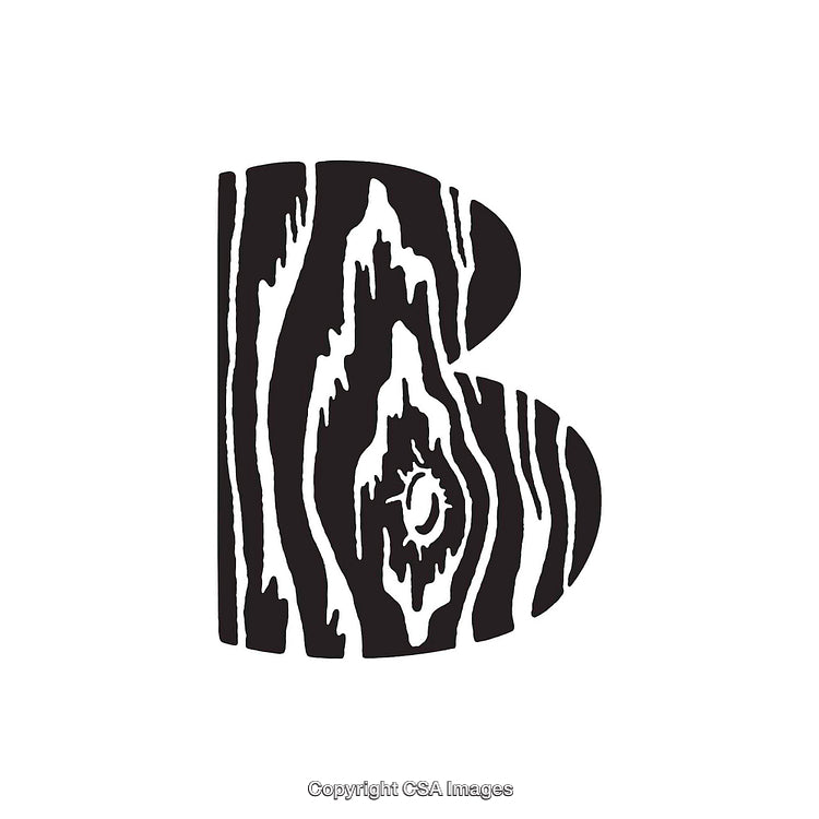 Stylized Letter B With Wood Grain Texture on White Background