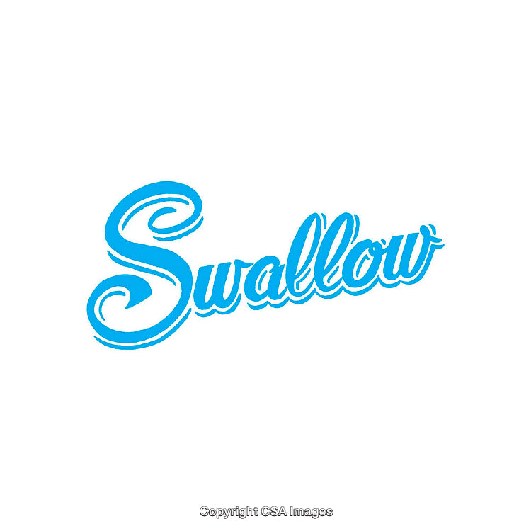 Bright Blue Typography of the Word 'Swallow' in Artistic Cursive Style