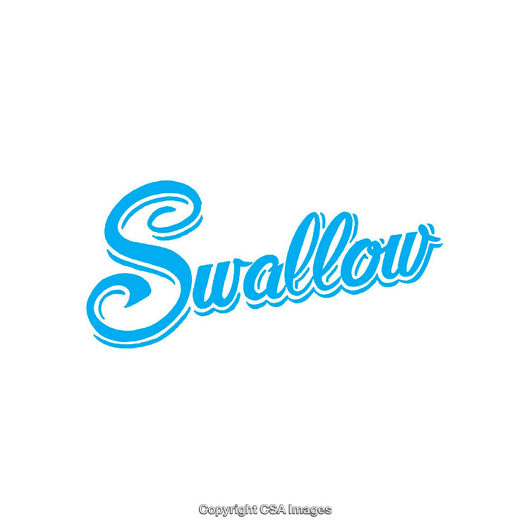Bright Blue Typography of the Word 'Swallow' in Artistic Cursive Style