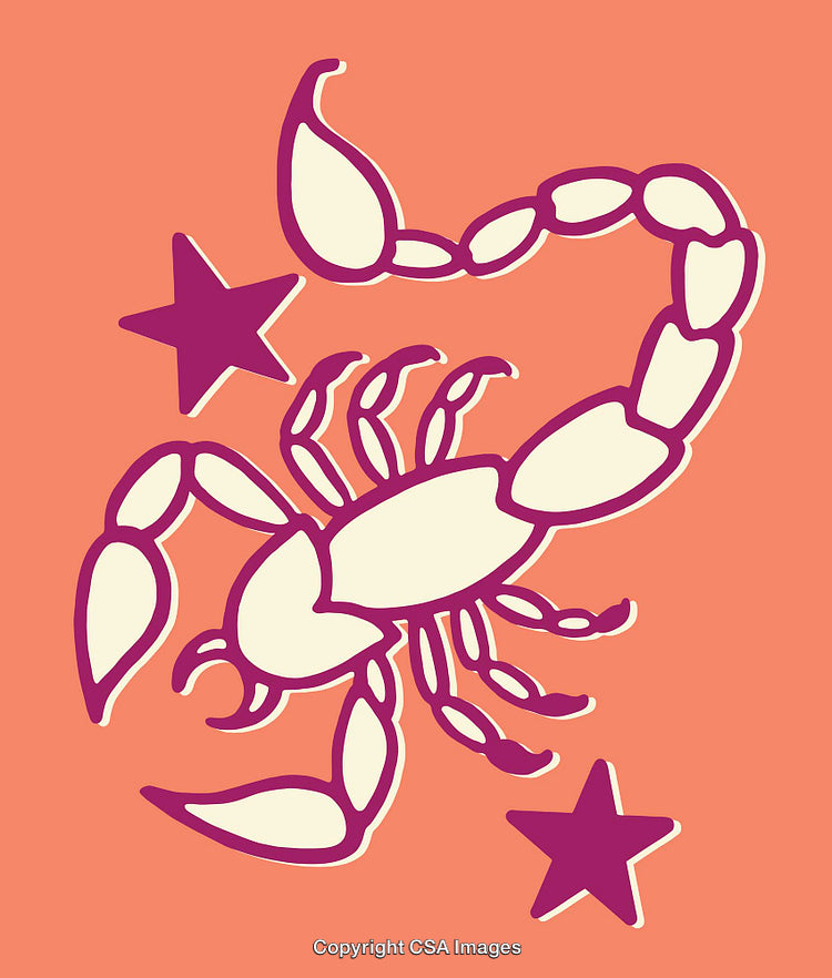 Scorpio Zodiac Sign Line Art Illustration with Stars on Orange Background