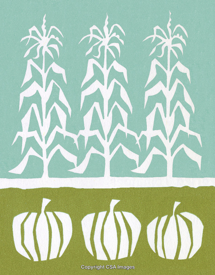 Abstract Illustration of Cornfields and Pumpkins in Rustic Autumn Style