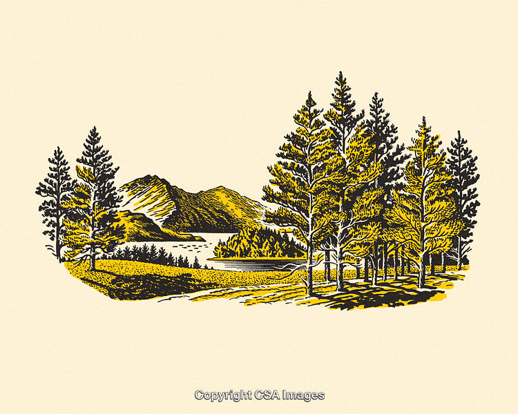Scenic Nature Illustration of Trees, Mountains, and a Calm Lake Landscape