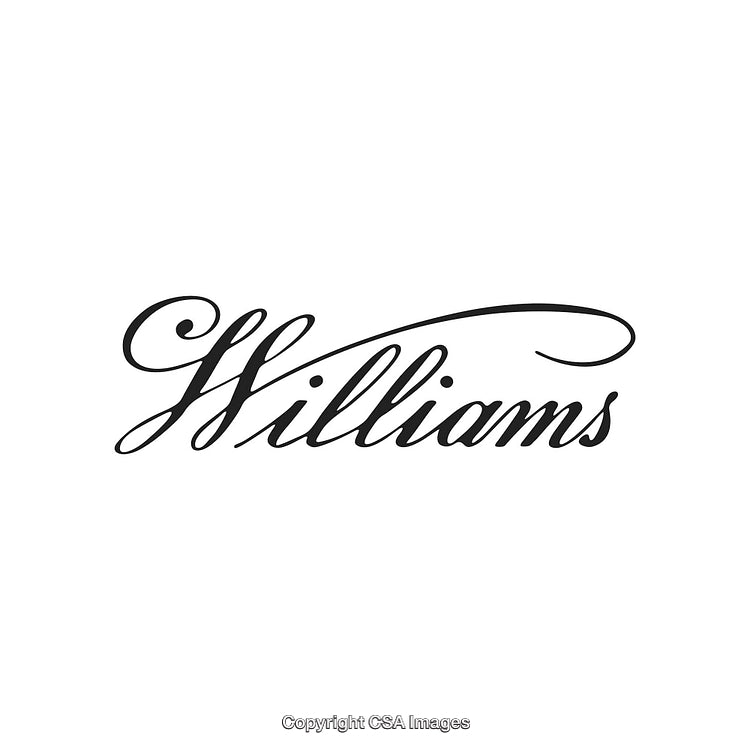 Elegant Calligraphy Williams Text Design on a Clean White Background