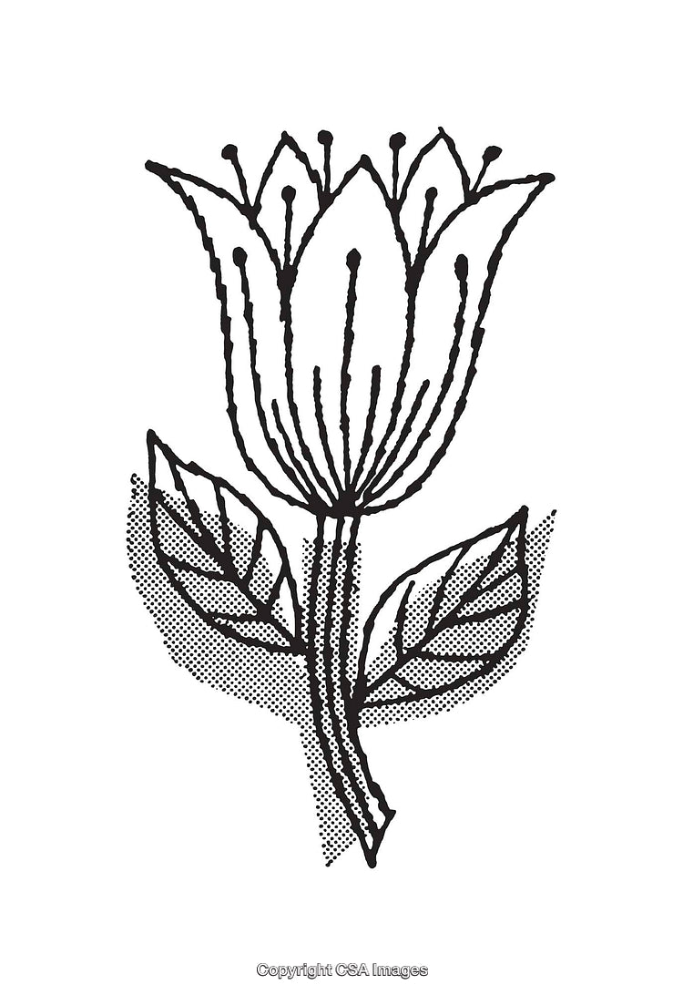 Elegant Black and White Line Art Flower Illustration with Leaves
