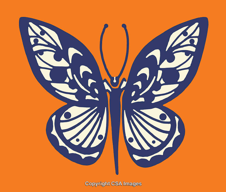 Detailed Blue Butterfly Illustration on Vibrant Orange Background