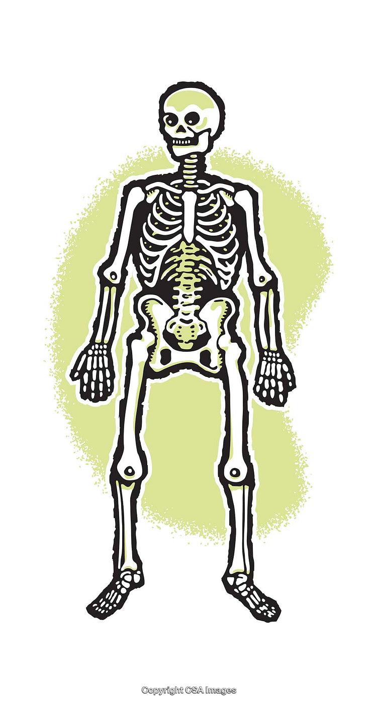 Colorful Illustrated Skeleton Depicted on a Textured Lime Green Background