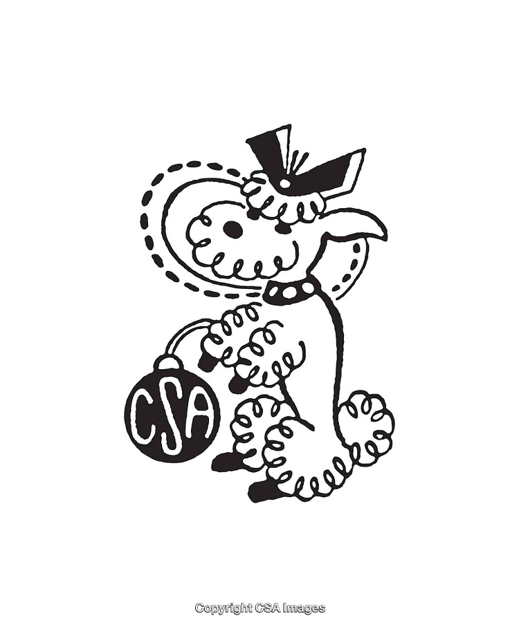 Charming Poodle Line Art Illustration with Stylish CSA Balloon Accessory