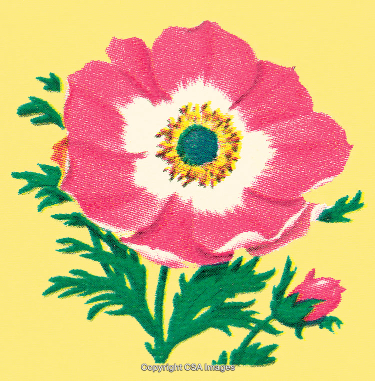 Vibrant Pink Flower Illustration With Green Leaves on Yellow Background
