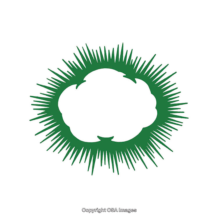 Green Stylized Cotton Emblem on White Background Symbolizing Sustainability