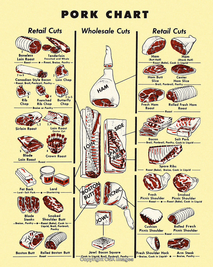 Comprehensive Pork Chart Displaying Retail and Wholesale Cuts of Pork Meat