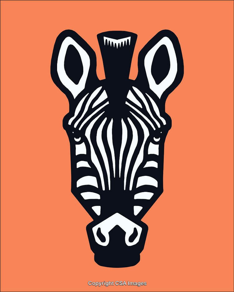 Stylized Zebra Illustration with Orange Background and Bold Black Outline Design