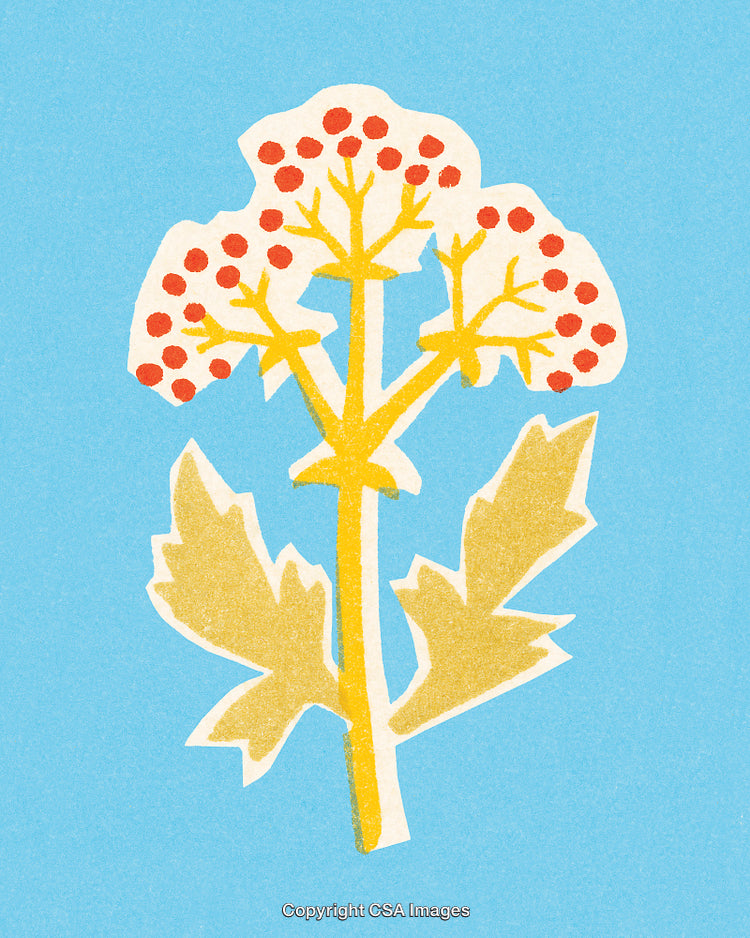 Colorful Abstract Print of a Wildflower on a Bright Sky Background