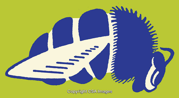Bold Illustration of a Fly in Blue and Green Colors