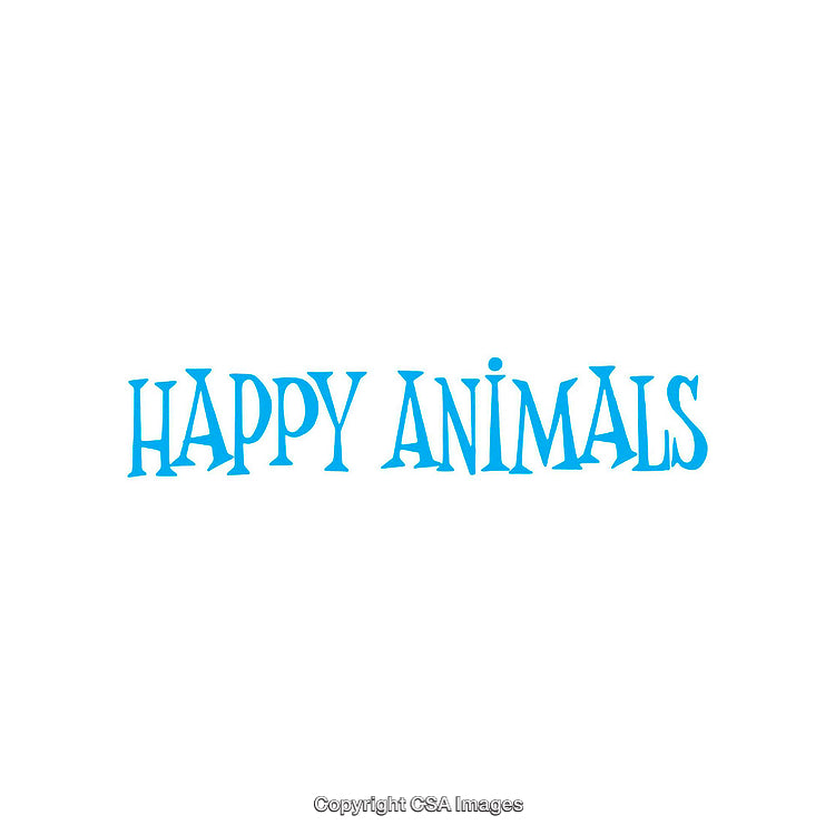 Minimalistic Blue Typography Featuring the Words Happy Animals on White Background