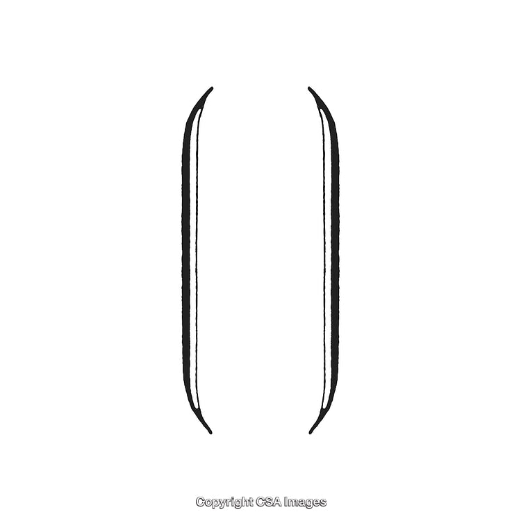 Minimalist Black and White Decorative Design Ornament with Symmetrical Curves